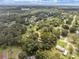 Expansive aerial shot displaying neighborhood with lush tree coverage and homes on a sunny day at 26831 Chianina Dr, Wesley Chapel, FL 33544