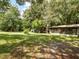 Large grassy backyard with mature trees and outbuildings at 26831 Chianina Dr, Wesley Chapel, FL 33544