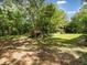 Wooded backyard with mature trees and natural light at 26831 Chianina Dr, Wesley Chapel, FL 33544