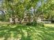 Single-story home surrounded by lush greenery and trees, providing a serene view at 26831 Chianina Dr, Wesley Chapel, FL 33544