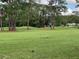 Scenic golf course view featuring lush green grass, mature trees, and a red flag marking the hole at 11920 Boynton Ln # 11920, New Port Richey, FL 34654