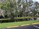 Scenic pond surrounded by lush greenery and trees, offering a tranquil view at 11920 Boynton Ln # 11920, New Port Richey, FL 34654