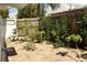 Sandy backyard with young fruit trees and plants at 5163 Tangelo Dr, New Port Richey, FL 34652