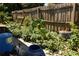 Large backyard with mature plants and a wooden fence at 5163 Tangelo Dr, New Port Richey, FL 34652