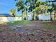 Spacious backyard with mature trees and a white fence providing privacy at 2145 68Th S Ave, St Petersburg, FL 33712