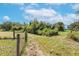 View of a grassy field with a wooden fence at 8703 Alafia Hills Dr, Plant City, FL 33567