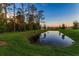 Serene pond reflecting the beautiful sunset colors at 23176 Pachino Way, Lutz, FL 33549