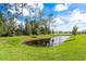 Picturesque pond surrounded by lush greenery and mature trees at 23176 Pachino Way, Lutz, FL 33549
