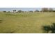 Green grass golf course at 2451 E Del Webb Blvd, Sun City Center, FL 33573
