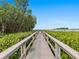 Wooden dock extending over calm water, lined with lush mangrove trees at 300 S Florida Ave # 500C, Tarpon Springs, FL 34689