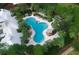 Aerial view of the community pool area with tropical landscaping, a lounge area, and a unique shape at 11892 Frost Aster Dr, Riverview, FL 33579