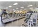 Modern fitness center with cardio and weight equipment at 18141 Sandy Pointe Dr, Tampa, FL 33647