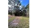 Vacant lot with sparse grass and dirt path; overgrown trees at 17025 Dalberg Dr, Spring Hill, FL 34610
