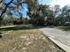 Property view showing grassy area and road at 17025 Dalberg Dr, Spring Hill, FL 34610