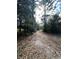 Long driveway through a wooded area leading to the property at 17025 Dalberg Dr, Spring Hill, FL 34610
