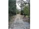 Long driveway leading to property, lined with trees and leaves at 17025 Dalberg Dr, Spring Hill, FL 34610