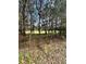 Wooded lot with a dirt path leading to open land at 17025 Dalberg Dr, Spring Hill, FL 34610
