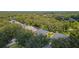 Neighborhood overview showcasing home's location and surrounding trees at 15212 Kestrelrise Dr, Lithia, FL 33547