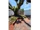 Picturesque backyard featuring brick pathways, lush landscaping, mature tree, and storage shed at 11452 81St Pl, Seminole, FL 33772