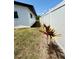 Backyard featuring a white fence and red Ti plants at 11452 81St Pl, Seminole, FL 33772
