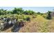 Overgrown lot with potential for development; requires clearing and cleanup at 11109 Sumner Rd, Wimauma, FL 33598