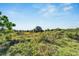 Overgrown lot with various vegetation; needs clearing at 11109 Sumner Rd, Wimauma, FL 33598