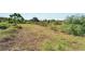 Cleared lot ready for construction; minimal vegetation at 11109 Sumner Rd, Wimauma, FL 33598