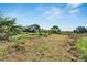 Vacant land with some vegetation; ready for building at 11109 Sumner Rd, Wimauma, FL 33598