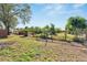 Large backyard with a fenced area and banana trees at 11109 Sumner Rd, Wimauma, FL 33598