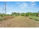 Vacant lot with vegetation and a cell tower nearby at 11109 Sumner Rd, Wimauma, FL 33598