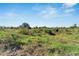 Open field with sparse vegetation; ideal for development at 11109 Sumner Rd, Wimauma, FL 33598