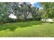 Expansive backyard, lush green grass and trees at 2727 Colewood Ln, Dover, FL 33527