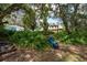 Spacious backyard with lush greenery, a blue chair, and a home in the background at 12805 Flint Creek Rd, Thonotosassa, FL 33592