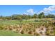 Beautiful view of the meticulously maintained golf course at 50 Coe Rd # 322, Belleair, FL 33756