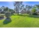Green grassy backyard with a pond view and tall trees at 5333 Cobblestone Ct, Wesley Chapel, FL 33543