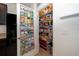 Pantry closet with ample shelving for organized storage alongside the refrigerator at 1523 Glen Grove Loop, Wesley Chapel, FL 33543