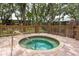 Community hot tub with brick patio and surrounding trees at 1500 Mahogany Ln # 605, Palm Harbor, FL 34683