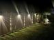 Landscaped backyard with a lighted privacy fence at 1523 Glen Grove Loop, Wesley Chapel, FL 33543
