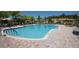 Community pool with lounge chairs and umbrellas at 242 Shell Falls Dr, Apollo Beach, FL 33572