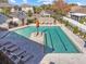 Community pool with lounge chairs and umbrellas at 10012 Corso Milano Dr, Tampa, FL 33625