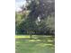 Large backyard with lush trees and plenty of green space at 2705 Ranch Rd, Dover, FL 33527