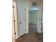 Bright hallway with neutral walls, carpet flooring, and access to bedroom and closet at 10222 Lakeside Vista Dr, Riverview, FL 33569