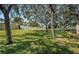 Private backyard with large trees and grassy area at 656 Spring Lake W Cir, Tarpon Springs, FL 34688