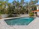 Relaxing poolside oasis with lush landscaping and a pergola at 4601 Bayshore Blvd, Tampa, FL 33611