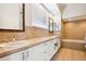 Large bathroom with double sinks, modern cabinets, and updated fixtures at 3127 W Sligh Ave # 204B, Tampa, FL 33614