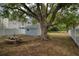 Large backyard with mature tree, shed, and picnic table at 963 Highland Ave, Dunedin, FL 34698