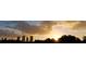 Silhouette of Tampa's skyline at sunset, with clouds and trees in the foreground at 1408 W Azeele St, Tampa, FL 33606