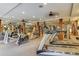 Fitness center featuring treadmills and other cardio equipment at 100 4Th S Ave # 205, St Petersburg, FL 33701