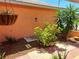 Inviting front yard featuring lush greenery, decorative plants, an orange exterior wall, and a charming bird feeder at 7906 Willow Brook Ct, Hudson, FL 34667