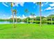 Scenic view of a tranquil lake with lush greenery and palm trees at 220 Belleview Blvd # 802, Belleair, FL 33756
